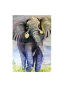 African Elephant print